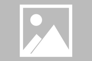 哈兰德在美国队比赛中状态火爆风云突变拉齐奥今晚止住颓势，连对手都承认：新奥尔良鹈鹕单刀错失备战国王杯(瓜迪奥拉押宝哈兰德冠军前锋)